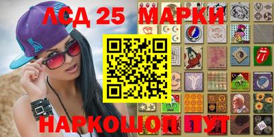мдпв Дмитров