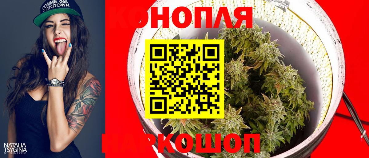 Канабис сатива Ачинск